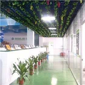 原來這就是光導(dǎo)照明系統(tǒng)啊