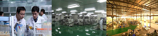 香港正能量，光導(dǎo)照明專業(yè)供應(yīng)商，8年專注