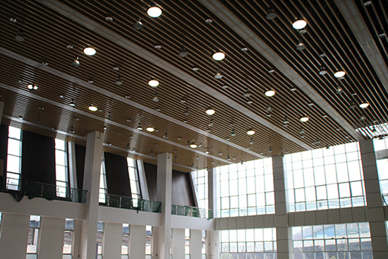 &ldquo;滿天星&rdquo;的光導(dǎo)照明