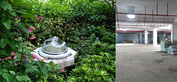 光導(dǎo)管綠化帶應(yīng)用 光導(dǎo)管綠化帶應(yīng)用