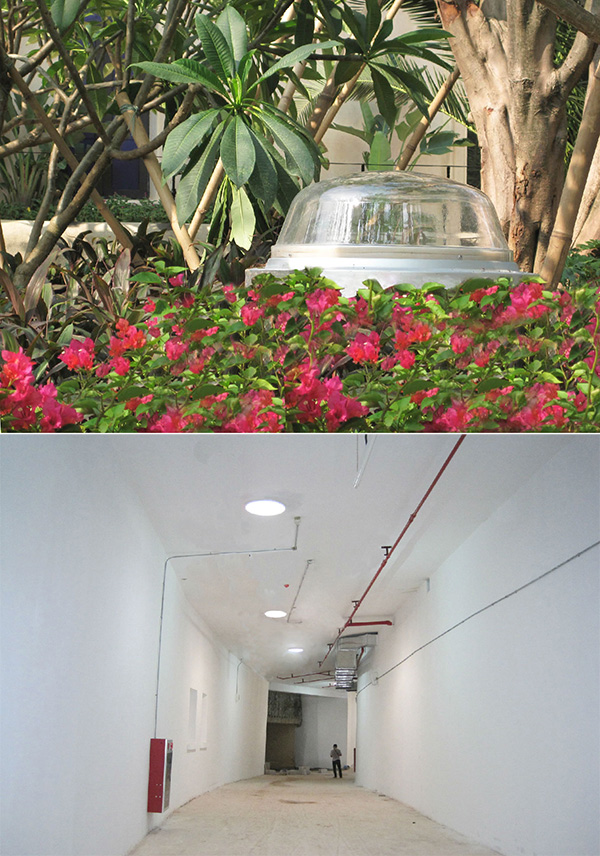 光導(dǎo)照明綠化叢應(yīng)用 光導(dǎo)照明綠化叢應(yīng)用