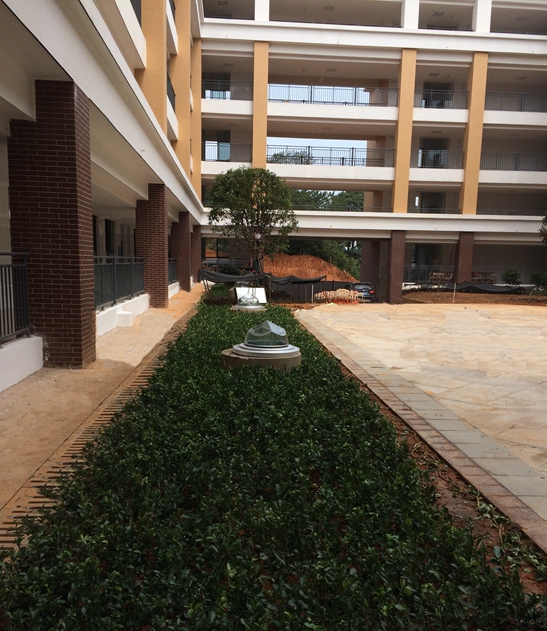 紅橋中學(xué)光導(dǎo)